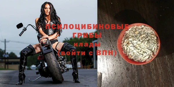 mdpv Переславль-Залесский