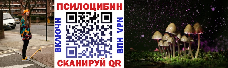 Псилоцибиновые грибы Cubensis  Спас-Деменск 